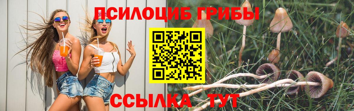 Юрга  Галлюциногенные грибы Magic Shrooms  Вход с VPN 