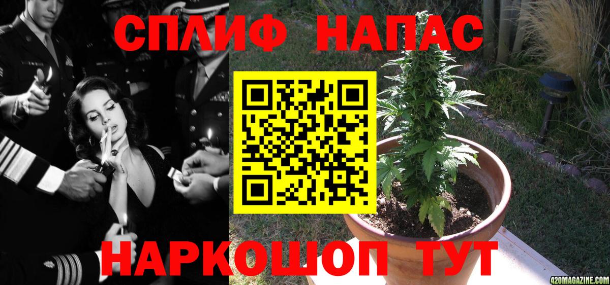 Шишки марихуана Bruce Banner  Вход с VPN  Марихуана VHQ  Юрга 